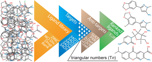 A delicate balance exists between a drug molecule's toxicity and its activity. Indeed, efficacy, toxicity, and side effect problems are a common cause for the termination of drug candidate compounds and development projects. 
To address this, an antitarget interaction profile is built and combined with virtual screening and cross docking for new inhibitors of HIV-1 integrase, in order to consider possible off-target interactions as early as possible in a drug or hit discovery program. New ranking techniques using triangular numbers improve ranking information on the compounds and recovery of known inhibitors into the top compounds using different docking programs. This improved ranking arises from using consensus of ranks between docking programs and ligand efficiencies to derive a new rank, instead of using absolute score values, or average of ranks. The triangular number rerank also allowed the objective combination of results from several protein targets or screen conditions and several programs. 
Triangular number reranking conserves more information than other reranking methods such as average of scores or averages of ranks. In addition, the use of triangular numbers for reranking makes possible the use of thresholds with a justified leeway based on the number of available known inhibitors, so that the majority of the compounds above the threshold in ranks compare to the compounds that have known experimentally determined biological activity. 
The battery of anti- or off-targets can be tailored to specific molecular or drug design challenges. In silico filters can thus be deployed in successive stages, for prefiltering, activity profiling, and for further analysis and triaging of libraries of compounds.