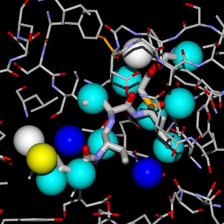 A.T. Garcia-Sosa, R.L. Mancera, P.M. Dean, WaterScore: A Novel Method for Distinguishing between Bound and Displaceable Water Molecules in the Crystal Structure of the Binding Site of Protein-Ligand Complexes, Journal of Molecular Modeling, J. Mol. Model., 2003, Vol. 9, Issue 3, 172-182 hydration sites water molecules X-ray crystal structure protein ligand drug Abstract: We have performed a multivariate logistic regression analysis to establish a statistical correlation between the structural properties of water molecules in
the binding site of a free protein crystal structure, with the probability of observing the water molecules in the same location in the crystal structure of the ligand–complexed form. 
The temperature B-factor, the solvent-contact surface area, the total hydrogen bond energy, and the number of protein-water contacts were found to discriminate between bound and displaceable water molecules in the best regression functions obtained. 
These functions may be used to identify those bound water molecules that should be included in structure-based drug design and ligand docking algorithms.
