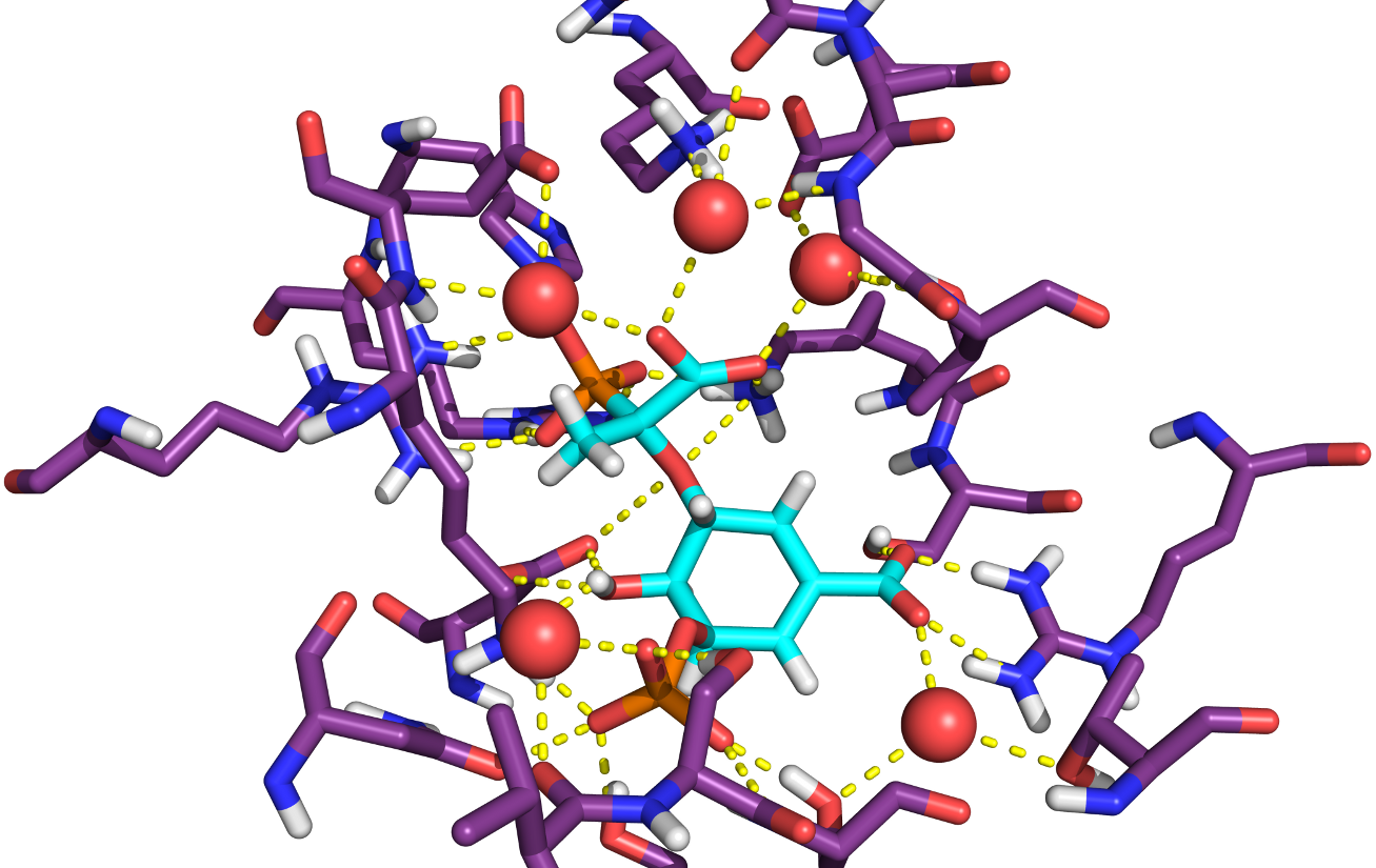 Some water molecules in binding sites are important for
intermolecular interactions and stability. The way binding site explicit
water molecules are dealt with affects the diversity and nature of
designed ligand chemical structures and properties. The strategies
commonly employed frequently assume that a gain in binding affinity
will be achieved by their targeting or neglect. However, in the present
work, 2332 high-resolution X-ray crystal structures of hydrated and
nonhydrated, drug and nondrug compounds in biomolecular
complexes with reported Ki or Kd show that compounds that use
tightly bound, bridging water molecules are as potent as those that do
not. The distribution of their energies, physicochemical properties, and
ligand efficiency indices were compared for statistical significance, and
the results were confirmed using 2000 permutation runs. Ligand cases
were also split into agonists and antagonists, and crystal structure pairs with differing tightly bound water molecules were also
compared. In addition, agonists and antagonists that use tightly bound water bridges are smaller, less lipophilic, and less planar;
have deeper ligand efficiency indices; and in general, possess better physicochemical properties for further development.
Therefore, tightly bound, bridging water molecules may in some cases be replaced and targeted as a strategy, though sometimes
keeping them as bridges may be better from a pharmacodynamic perspective. The results suggest general indications on tightly
hydrated and nontightly hydrated compounds in binding sites and practical considerations to adopt a strategy in drug and
molecular design when faced with this special type of water molecules. There are also benefits of lower log P and better
developability for tightly hydrated compounds, while stronger potency is not always required or beneficial. The hydrated binding
site may be one of the many structure conformations available to the receptor, and different ligands will have a different ability to
select either hydrated or nonhydrated receptor binding site conformations. Compounds may thus be designed, and if a tightly
bound, bridging water molecule is observed in the binding site, attempts to replace it should only be made if the subsequent
ligand modification would improve also its ligand efficiency, enthalpy, specificity, and pharmacokinetic properties. If the
modification does succeed in replacing the tightly bound, bridging water molecule, it will have at least achieved benefits for ligand
optimization and development independently of either positive or negative change in binding affinity outcome