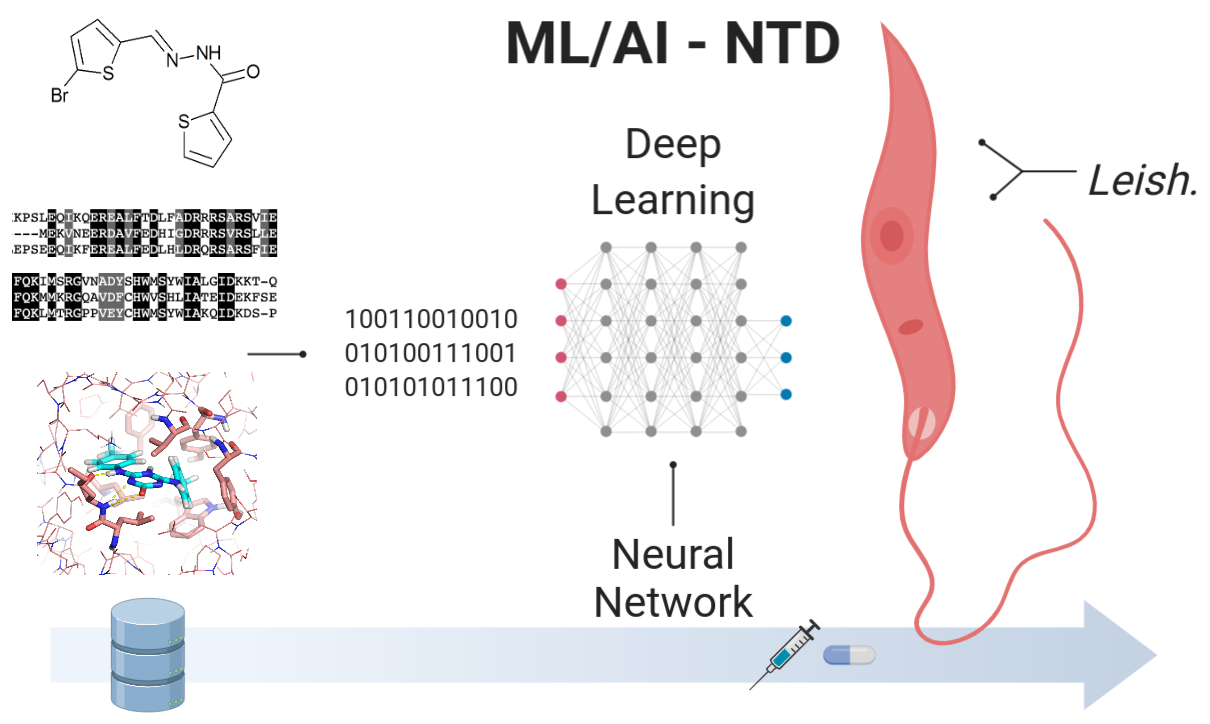 Machine learning (ML) is becoming capable of transforming biomolecular interaction description and calculation, promising an impact on molecular and drug design, chemical biology, toxicology, among others. The first improvements can be seen from biomolecule structure prediction to chemical synthesis, molecular generation, mechanism of action elucidation, inverse design, polypharmacology, organ or issue targeting of compounds, property and multiobjective optimization. Chemical design proposals from an algorithm may be inventive and feasible. Challenges remain, with the availability, diversity, and quality of data being critical for developing useful ML models; marginal improvement seen in some cases, as well as in the interpretability, validation, and reuse of models. The ultimate aim of ML should be to facilitate options for the scientist to propose and undertake ideas and for these to proceed faster. Applications are ripe for transformative results in understudied, neglected, and rare diseases, where new data and therapies are strongly required. Progress and outlook on these themes are provided in this study