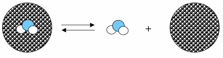 A.T. Garcia-Sosa, R.L. Mancera, Free Energy Calculations of Mutations Involving a Tightly Bound Water Molecule and Ligand Substitutions in a Ligand-Protein Complex, Molecular Informatics, Mol Inf, 2010, Vol. 29, Iss. 8-9, 589-600 cancer tumor inhibitor water molecule free energy solvation hydration drug design docking molecular dynamics Abstract: The accurate calculation of the free energy of interaction of protein–water–ligand systems has an important role in molecular recognition and drug design that is often not fully considered. 
We report free energy thermodynamic integration calculations used to evaluate the effects of inclusion, neglect, and targeting and removal (<em>i.e.</em>, systematic substitution by ligand functional groups) of an important, tightly bound, water molecule in the SH3 domain of Abl tyrosine kinase. 
The effects of this water molecule on the free energies of interaction of several Abl-SH3 domain-ligand systems reveal that there is an unfavourable free energy change associated with its removal into the bulk solvent. 
Only three substitutions by an additional functional group (out of methyl, ethyl, hydroxyl, amino, and amide groups) in the phenyl ring of a tyrosine in the peptide ligand resulted in a favourable change in the free energy of binding upon replacement of the ordered water molecule. 
This computational approach provides a direct route to the systematic and rigorous prediction of the thermodynamic influence of ordered, structural water molecules on ligand modification and optimization in drug design by calculating free energy changes in protein–water–ligand systems.
