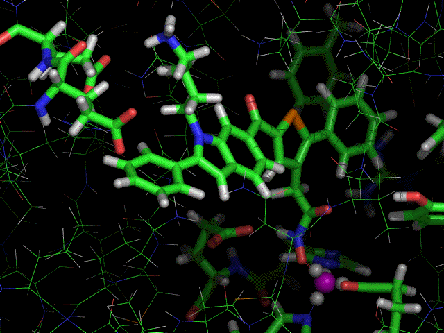 MD simulation tetrahedral zinc ligand inhibitor