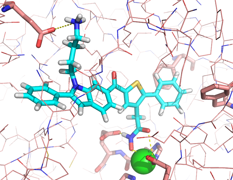 J.G. Park, P.C. Sill, E.F. Makiyi, A.T. Garcia-Sosa, C.B. Millard, J.J. Schmidt, Y.P. Pang, Serotype-selective, Small-molecule Inhibitors of the Zinc Endopeptidase of Botulinum Neurotoxin Serotype A, Bioorganic & Medicinal Chemistry, Bioorg. Med. Chem., 2006, Vol. 14, 395-408 Tetrahedral zinc protein ligand inhibitor drug design molecular dynamics Botulinum neurotoxin serotype A (BoNTA) is one of the most toxic substances known. 
Currently, there is no antidote to BoNTA. 
Small molecules identified from high-throughput screening reportedly inhibit the endopeptidase – the zinc-bound, catalytic domain of BoNTA – at a drug concentration of 20 µM. 
However, optimization of these inhibitors is hampered by challenges including the computational evaluation of the ability of a zinc ligand to compete for coordination with nearby residues in the active site of BoNTA. 
No improved inhibitor of the endopeptidase has been reported. 
This article reports the development of a serotype-selective, small-molecule inhibitor of BoNTA with a K<sub><em>i</em></sub> of 12 µM. 
This inhibitor was designed to coordinate the zinc ion embedded in the active site of the enzyme for affinity and to interact with a species-specific residue in the active site for selectivity. 
It is the most potent small-molecule inhibitor of BoNTA reported to date. 
The results suggest that multiple molecular dynamics simulations using the cationic dummy atom approach are useful to structure-based design of zinc protease inhibitors.
